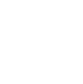 VDG Workshops